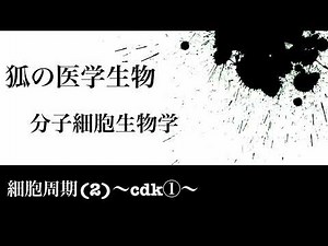 分子細胞生物学69 細胞周期(2)〜Cdk①〜