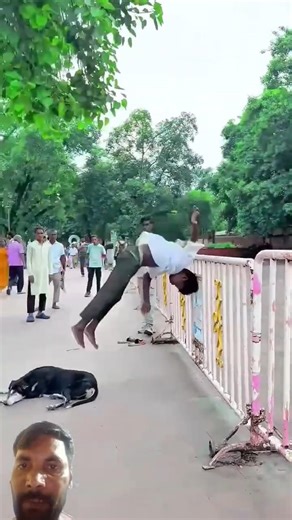 Dog is😰best🐶 and amazing dog flip #viraljump#dogshorts #dogclothes #animals #youtube•