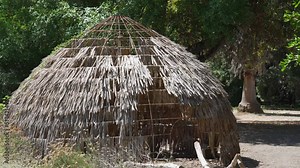 This panning video shows a primitive hut made of palm leaves in a lush landscape.