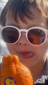 Happy Spring Equinox! It's official: we survived winter, thanks to the ultimate citrus experience. Luckily, Sumo Season is still here to sweeten the days ahead.🧡 More sunshine, more citrus-fueled adventures, and the same legendary taste—this is how you do spring right! Where are you enjoying your Sumo Citrus this season?"Happy Spring Equinox!! Winter may be gone, but Sumo Season is still here to sweeten up your days.🧡 More sunshine, more adventures, and the same legendary taste—this is how you