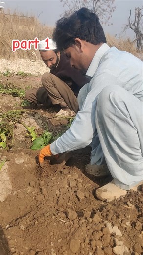 Unfreeze My TikTok Account Request