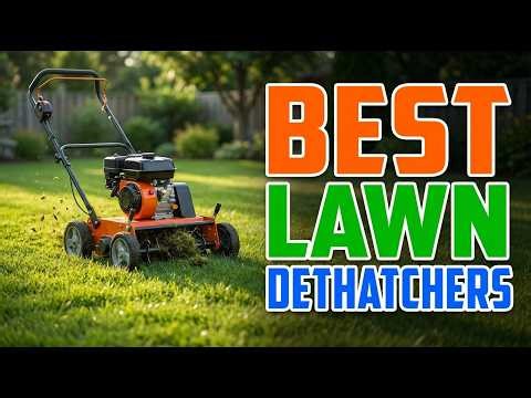 TOP 5 Best Lawn Dethatchers 2026 | Use ONE of These Dethatchers Instead