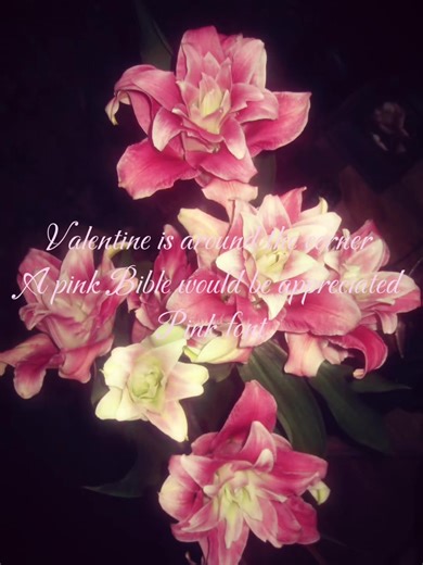 #CapCut lwk single but just saying I would love a pink BIG Bible for my birthday. (Already have a pink one but it’s so small I can’t even write notes😓) #Bible #fyp #pink #valentinesday