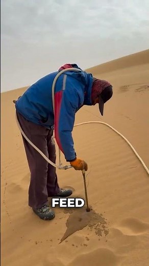 Turning Scorching Deserts Green With One Powerful Technique #transformation #desert #water