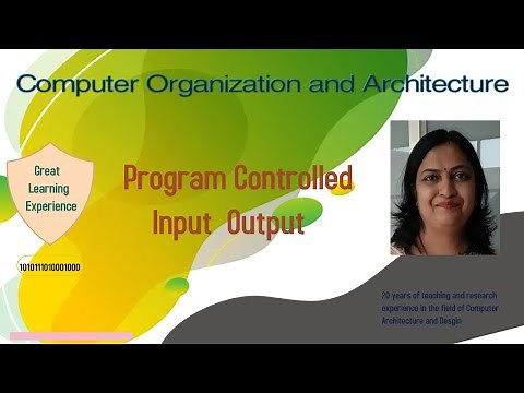 Program Controlled IO