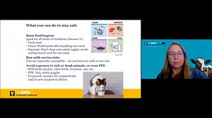 Avian Flu Grand Rounds: A Summary