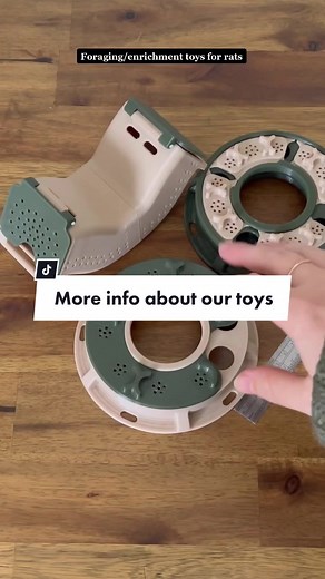 Enriching Rat Toys for Mental Stimulation and Playtime