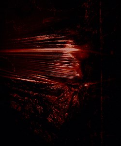 Larcenia Roe Concert & Tour History (Updated for 2025 - 2026) | Concert Archives