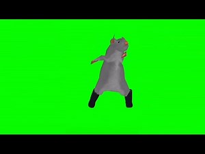 1 HOUR RAT DANCE