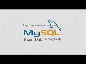 How to INSERT data into table in MySQL?