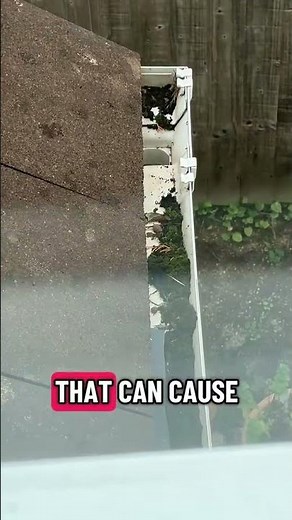 Your Gutters Are Hiding a Serious Danger