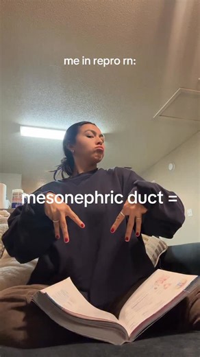 megan p | literally was so proud that i watch brainrot bc of this connection made whilst i was studying #repro #explore #medstudent #study #embryo | Instagram