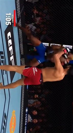 In the UFC octagon a fighter in blue trunks is backed against the cage the bold UFC logo beneath