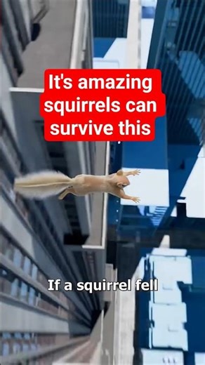 It's amazing squirrels can survive this #shorts