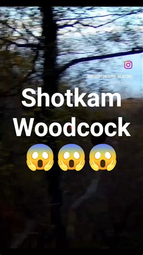 shotkam vs woodcock #caccia #woodcock #hunting #beccaccia #woodcockhunting #shot