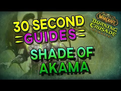 Shade of Akama - Black Temple - 30 Second Guides