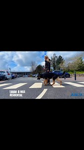 45 reactions | Max & Taran – Residential Training Stars! Watch Max...