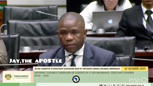 6.8K views · 192 reactions | General Mkhwanazi  #General #SAPS #Salute #adhoc #parliament #fypシ #viral | Jay T Java | Facebook