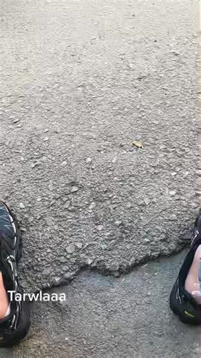 BLS Spanish Visa Application Centre: What to Expect