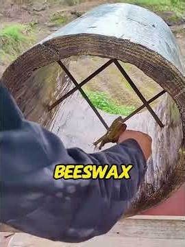 Found bees in a trash can! Saved them from predators and built an empire!😭❤️#beerescue