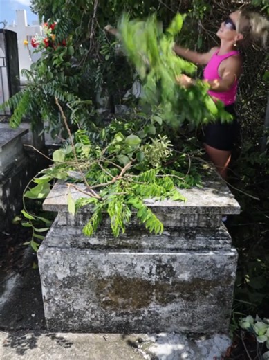 Free Grave Cleaning Service for Local Families