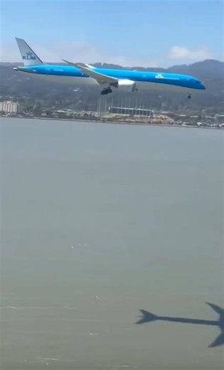 This is so cool. Worth a watch. 💪