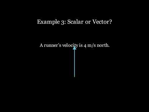 Scalar Or Vector