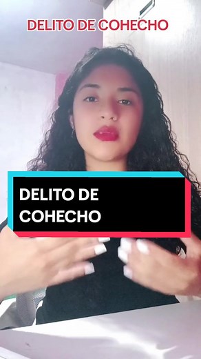 Delito de Cohecho: Explicación y Ejemplos Clave