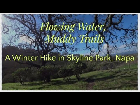 A Winter Hike - Skyline Park, Napa, CA