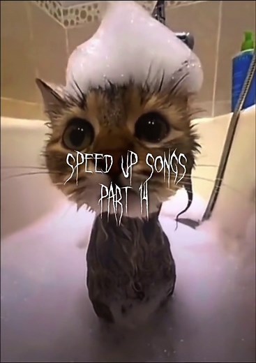 Te Voy a Tocar una Cumbia - Letra y Significado