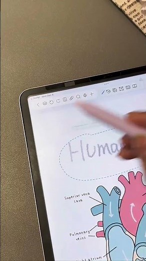 Freenotes New Feature!✨💗