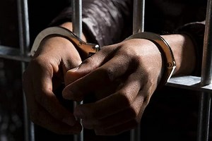 UAE arrests 94 suspects for environmental crimes in $64-million crackdown in Amazon basin