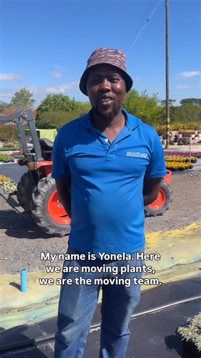 🌿 Behind the Scenes at Shadowlands 🌿 Meet Yonela from our incredible Moving Team — the hands and hearts that keep our nursery running smoothly. 💪🌱 Every day, they carefully transport our plants to their designated blocks, making sure each one reaches the perfect spot to grow strong and healthy. Their attention to detail and teamwork help maintain the organised, thriving environment our clients love. Here’s to the crew that keeps everything moving forward — one plant at a time! 🌿🚚✨ #Teamwor