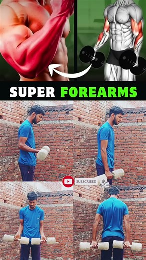 Best Dumbbell Forearm Workouts for Insane Forearm Training! 💪🏻Workouts for Your Forearms #workout