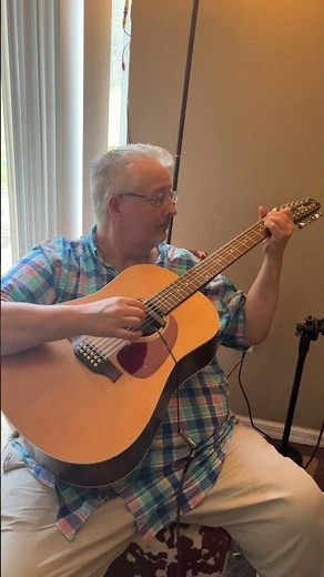 Fishman rare earth blend with 12 string and acoustic amp with chorus and reverb