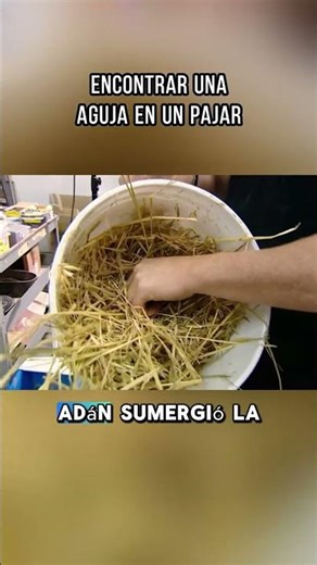 Is it really that hard to find a needle in a haystack? #mythbusters #physics #science