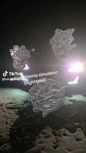 Understanding Schizophrenia: Hallucination Simulation at Night