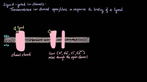 Ligand Gated Ion Channels