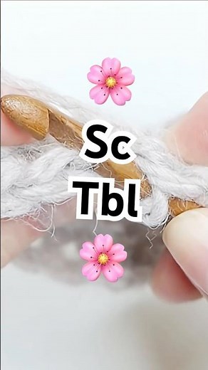 Sc Tbl: Single Crochet Thru Back Loop • #crochettutorial #crochetstitches