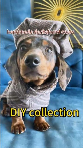 Turn Old Wool Pants into a Dachshund Coat | Easy Tutorial | Pet Clothes Handmade#dogcoat #handmade