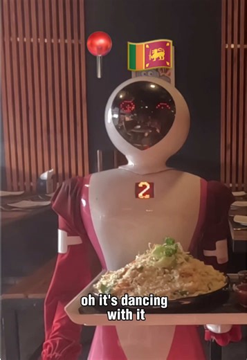 Dining Experience at a Robot Restaurant
