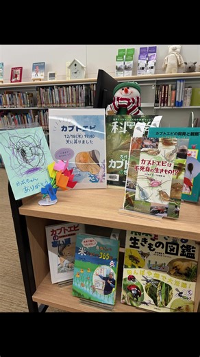 #カブトエビ その後＠都立多摩図書館こどものへや 11月24日に生まれたカブトエビは12月18日に亡くなりました。生まれたばかりのときは体長わずか１mmでしたが、クレソンのほか、きゅうりやにんじん、かつおぶしやメダカのえさなどをモリモリ食べて脱皮をくりかえして大きくなりました。最後は３.5㎝くらいまで成長し、卵をかかえていたようです。 こどものへやの人気ものになっていましたが、短い一生を終えました。毎日カブトエビを見に来ていた男の子が、手作りのお花とカードをくれました。カブトエビさんありがとう！ 当館で雑誌として収集している『学研の科学』に卵から飼育できるキットがついていたので、図書館で育てていました。 『学研の科学』 （2025年7月）古代生物カブトエビの世界 Gakken（資料コード：7119643109） https://www.library.metro.tokyo.lg.jp/child/ #都立図書館 | 東京都立図書館