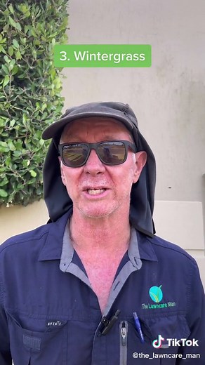 Identifying Perth's Top 3 Common Weeds | Lawn Care Tips