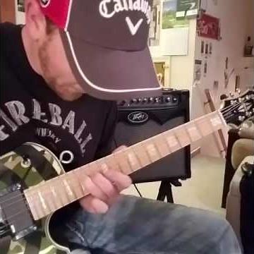 Zakk Wylde Live at the Budokan Solo