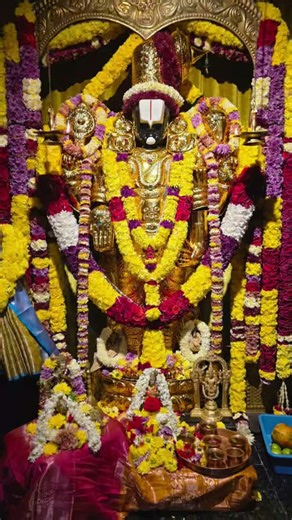 om namo venkateshaya 🙏 #tirupatibalaji #hindudeity #youtubeshorts #chaganti #garikapati #ttd #ttd #t