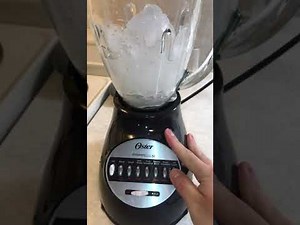 Oster 14 speed blender review