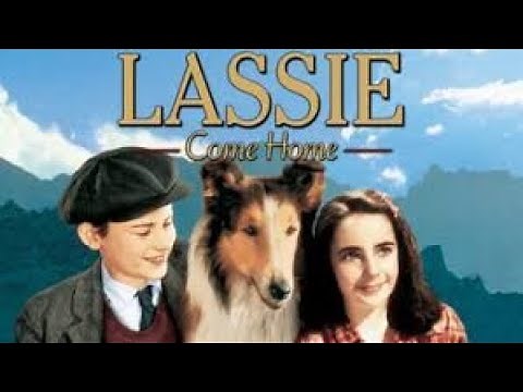 Lassie Come Home | Lassie se vraća kući 1943 SA PRIJEVODOM