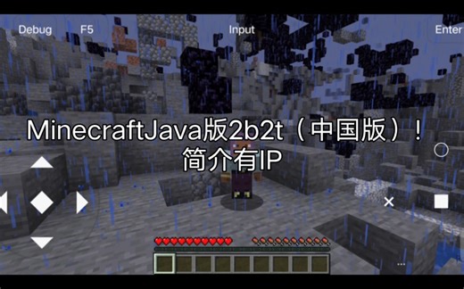 MinecraftJava版2b2t服务器，简介有IP