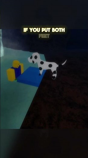Flotation Device
