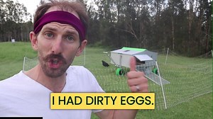 Introducing the Chicken Caravan 30! 🐔 The ultimate portable automatic chicken coop which makes owning chickens and managing your land hassle free. 🥚 Solar powered 🥚 Lets hens out in the morning and locks them away at night 🥚 Keeps the water fresh and feed dry 🥚 Say hello to clean eggs 🥚 Completely portable and easy to move 🥚 Houses up to 30 hens ↘️ Click below to find the right Chicken Caravan for you or call our friendly team today 📞1300 655 735. | Chicken Caravan